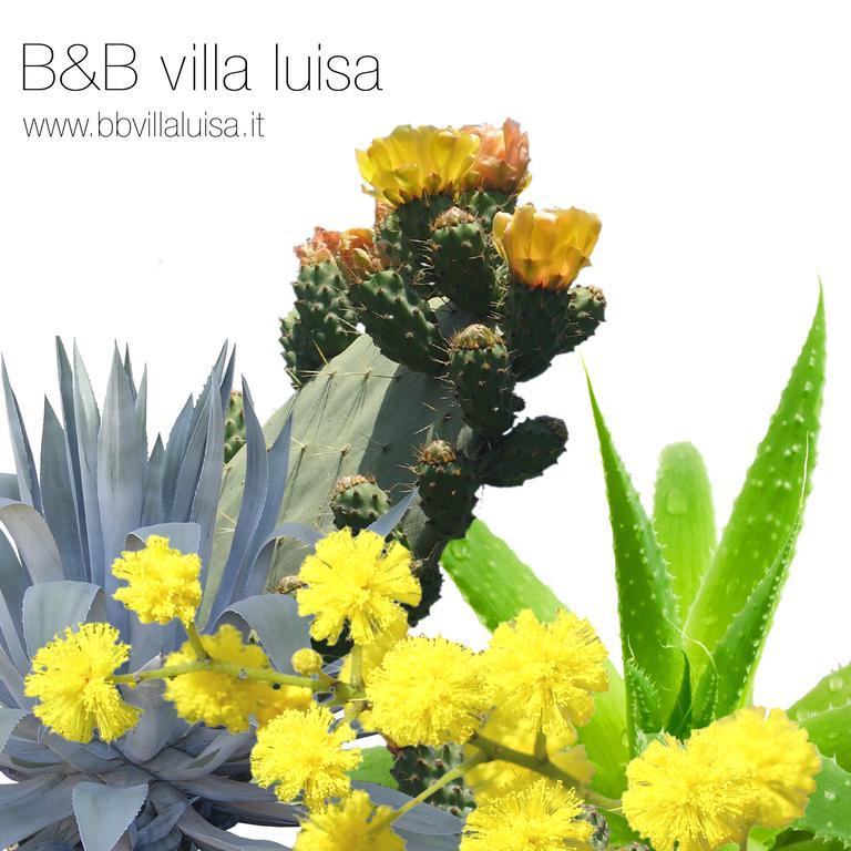 B&B Villa Luisa Casarza Ligure Buitenkant foto